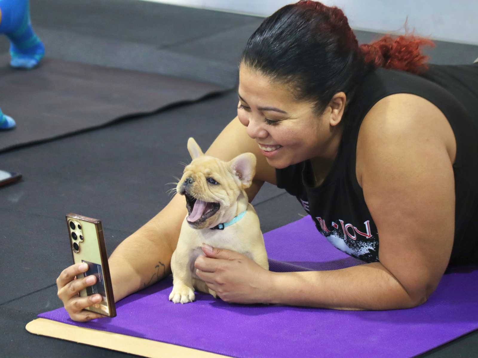 Bulldog puppy yoga
