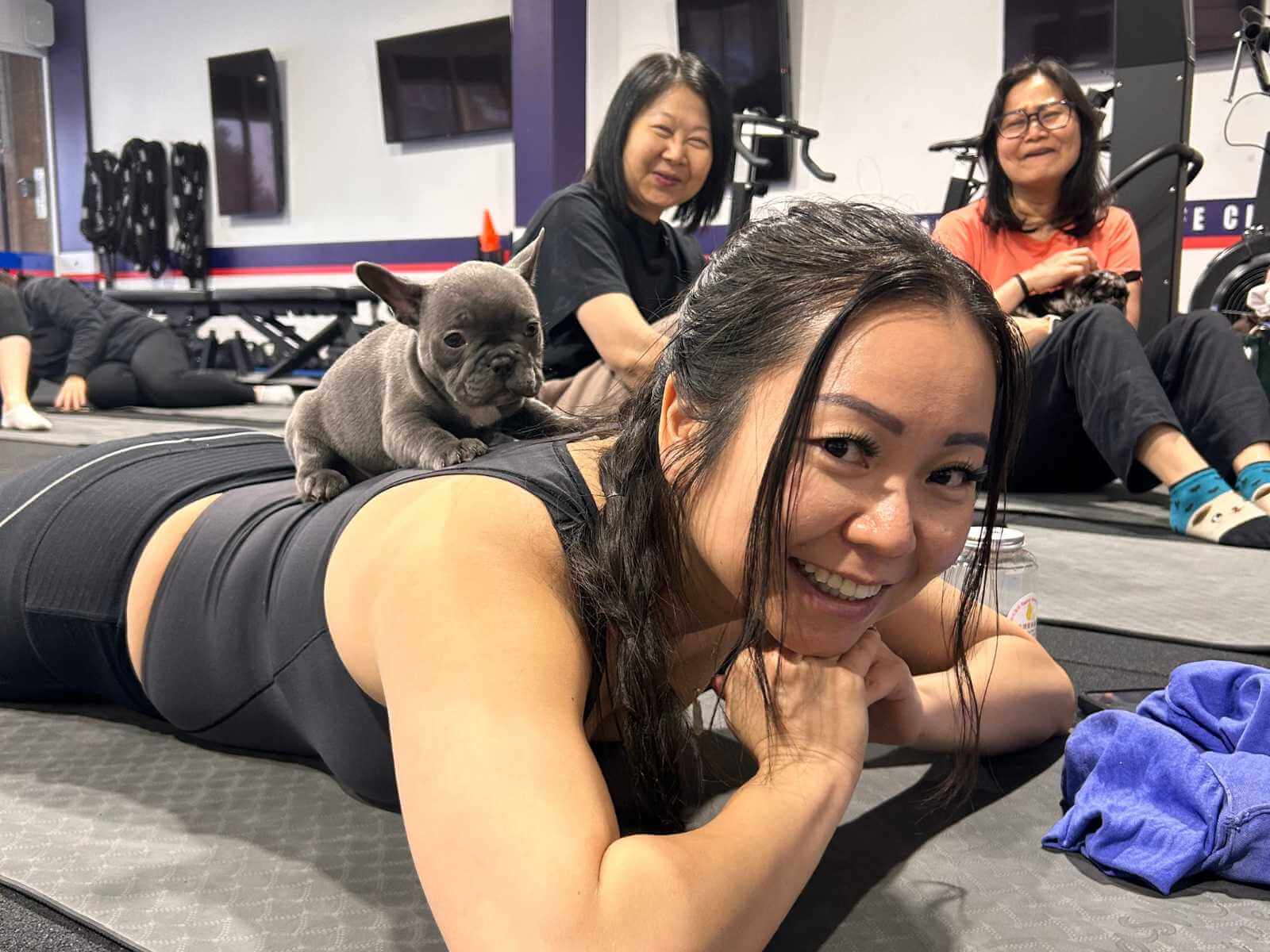 Puppy yoga with a French bulldog
