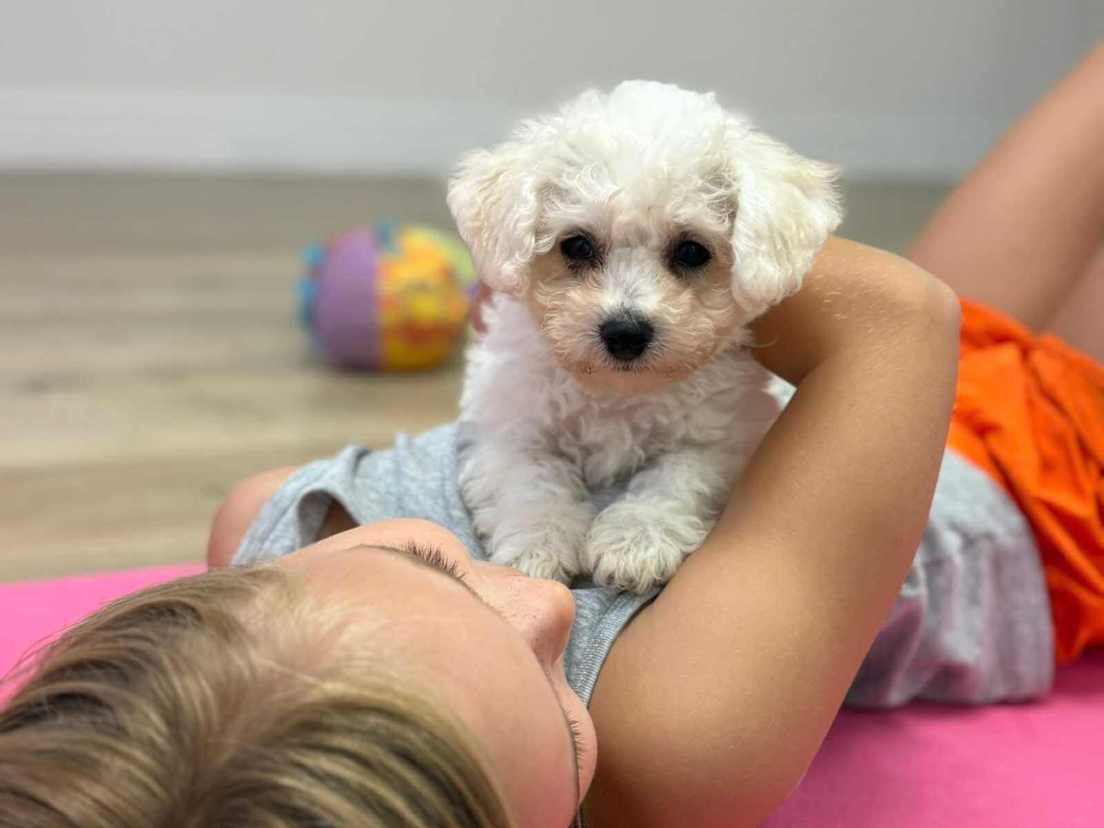 Puppy yoga event with Yoga Kawa